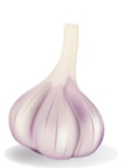 ثوم