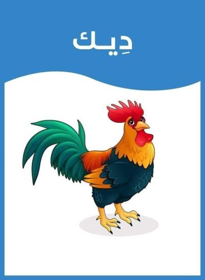 ديك