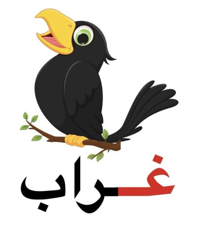 غراب